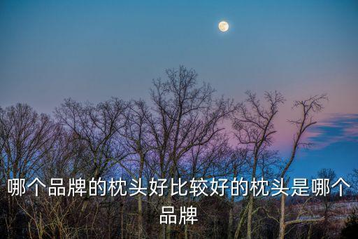 適之寶，哪個品牌的枕頭好比較好的枕頭是哪個品牌