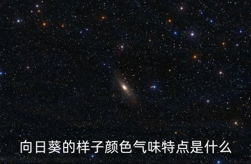 向日葵的味道，向日葵有香氣嗎是什么樣的氣味請描述一下吧