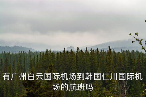 有廣州白云國際機場到韓國仁川國際機場的航班嗎