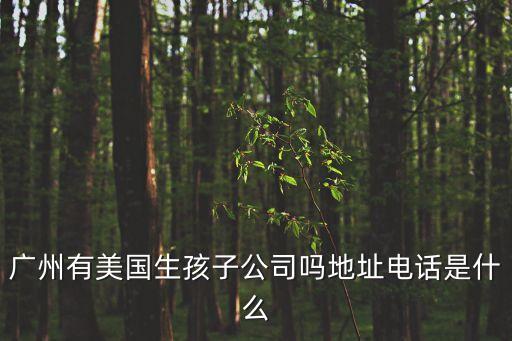 廣州有美國生孩子公司嗎地址電話是什么