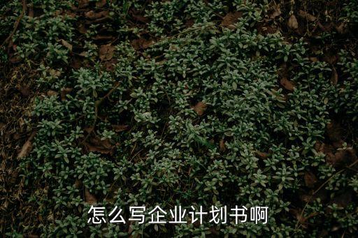 企業計劃書怎么寫，怎么寫企業計劃書啊