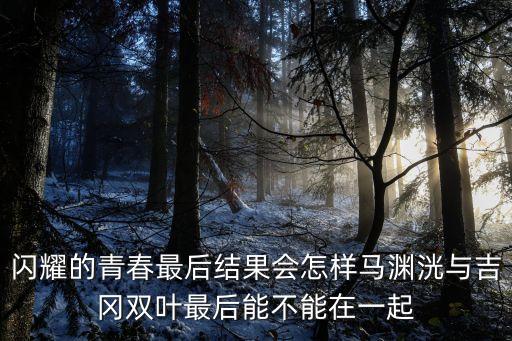 閃亮的青春，求美國家庭電影閃亮的青春 的所有插曲 OO謝謝