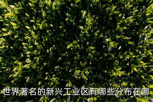 世界著名的新興工業(yè)區(qū)有哪些分布在哪