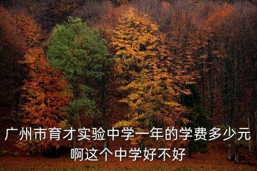 廣州市育才實(shí)驗中學(xué)一年的學(xué)費(fèi)多少元啊這個中學(xué)好不好