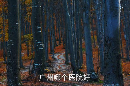 廣州省立醫(yī)院哪家好，廣州哪個醫(yī)院好