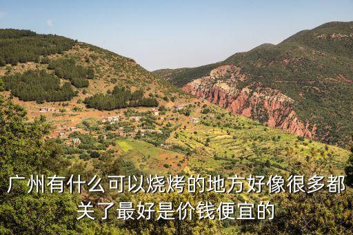 廣州有什么可以燒烤的地方好像很多都關了最好是價錢便宜的