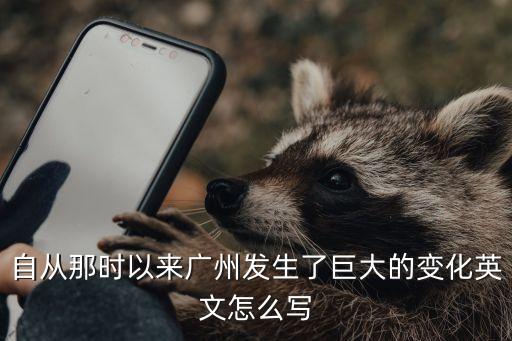 這些年廣州發(fā)生了很大的變化翻譯，這些年來廣州的各方面得到迅速發(fā)展用英語(yǔ)怎么說