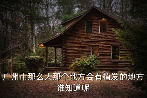 廣州植發(fā)靠譜新生y地址方位，廣州頭發(fā)稀少正規(guī)專科yiyuan在哪里