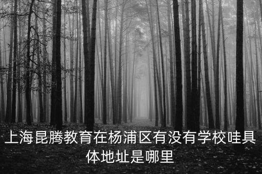 上海昆騰教育在楊浦區(qū)有沒有學(xué)校哇具體地址是哪里
