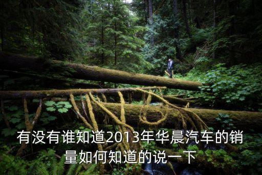 2013廣州車展華晨，2013年廣州車展期間華晨金杯的智尚S30展臺會有禮品派發嗎