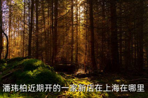 上海市明日星城一期地址，明日星城一期中學在那生