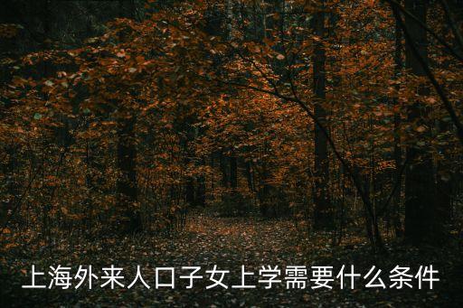 上海外來人口子女上學需要什么條件