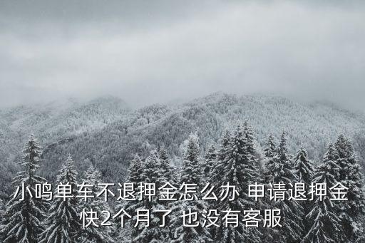 廣州抖霸傳媒有限公司跑路，鹽成機場航線是哪些