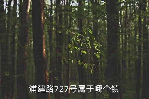 浦建路727號(hào)屬于哪個(gè)鎮(zhèn)