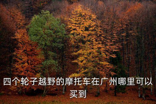 廣州山地越野摩托車基地，廣州哪里有越野摩托車買