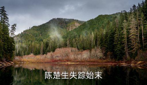 廣州跨國董事長失蹤案，董卓睿是否身家過億就是那個(gè)不久前神秘失蹤的帥氣CEO  問