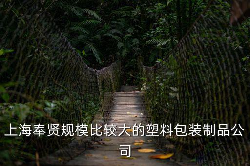 上海奉賢規模比較大的塑料包裝制品公司