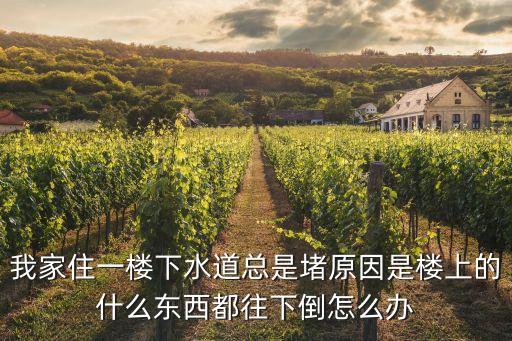 我家住一樓下水道總是堵原因是樓上的什么東西都往下倒怎么辦