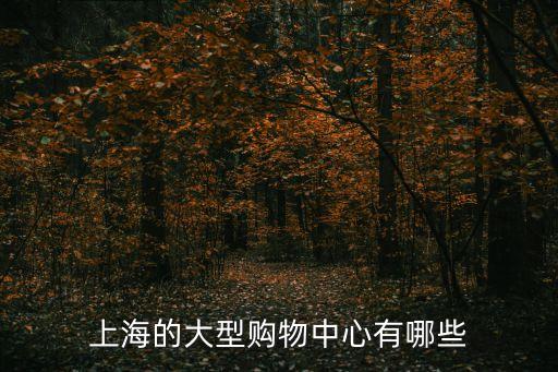 上海的大型購物中心有哪些