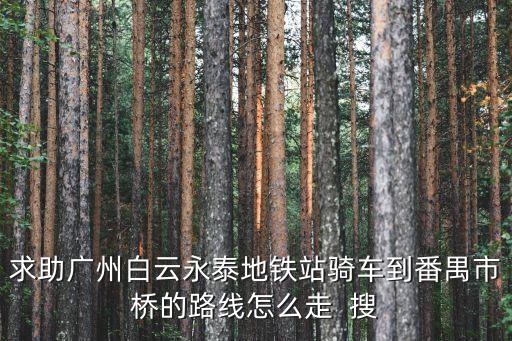 求助廣州白云永泰地鐵站騎車到番禺市橋的路線怎么走  搜