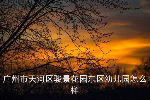 廣州市天河區駿景花園東區幼兒園怎么樣