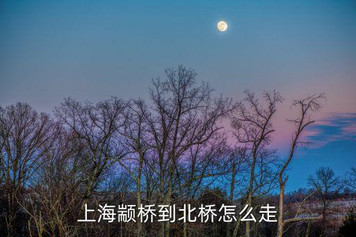 上海市山東水餃顓橋北橋，上海公交線路時間問題