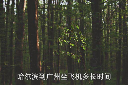 哈爾濱到廣州坐飛機(jī)多長(zhǎng)時(shí)間