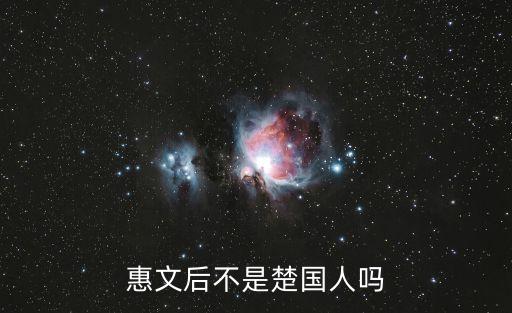 惠文后不是楚國人嗎
