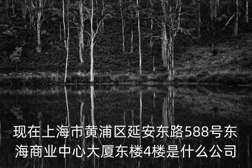 現在上海市黃浦區延安東路588號東海商業中心大廈東樓4樓是什么公司