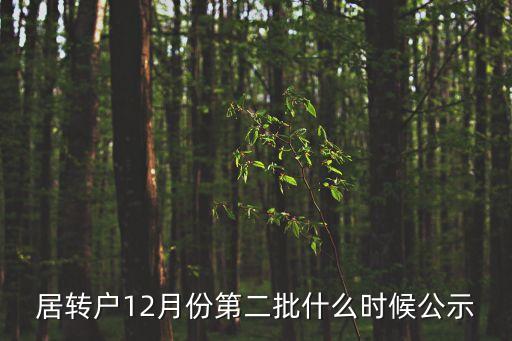 上海市第二批居轉戶，上海居轉戶要求