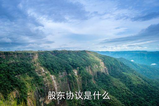 股東合同，關(guān)于股東股份合同問題