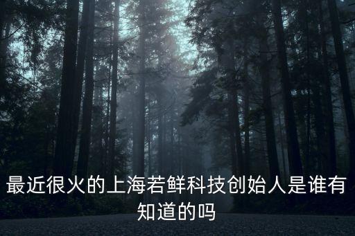 最近很火的上海若鮮科技創始人是誰有知道的嗎