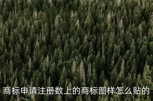 商標申請注冊數上的商標圖樣怎么貼的