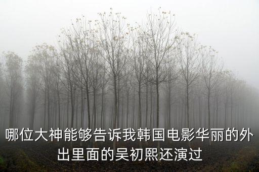 哪位大神能夠告訴我韓國電影華麗的外出里面的吳初熙還演過