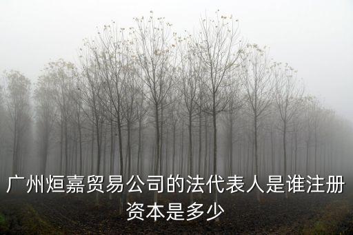 廣州宏智鎰貿易有限公司，廣州烜嘉貿易公司的法代表人是誰注冊資本是多少