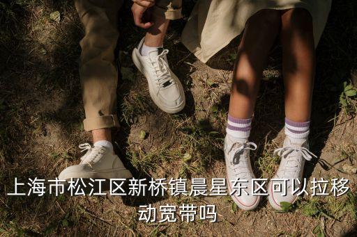 上海市松江區新橋鎮晨星東區可以拉移動寬帶嗎