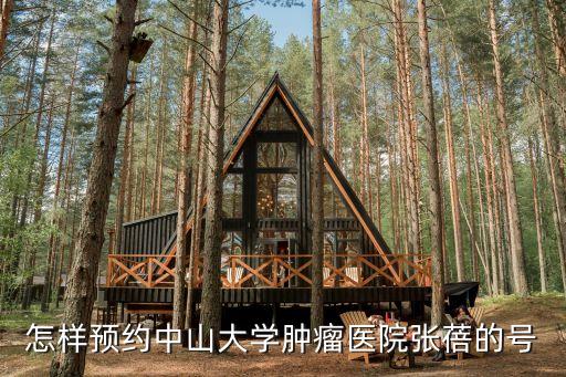 怎樣預約中山大學腫瘤醫院張蓓的號