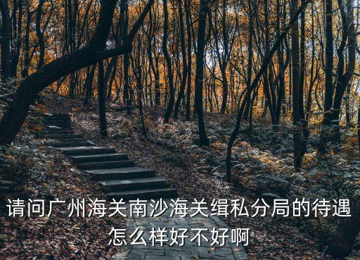 請問廣州海關(guān)南沙海關(guān)緝私分局的待遇怎么樣好不好啊