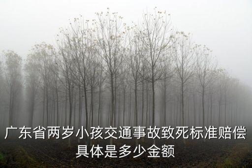 廣東省兩歲小孩交通事故致死標(biāo)準(zhǔn)賠償具體是多少金額
