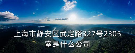 上海市靜安區(qū)武定路327號2305室是什么公司