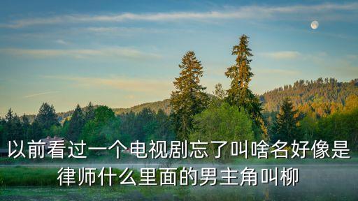 以前看過一個電視劇忘了叫啥名好像是律師什么里面的男主角叫柳