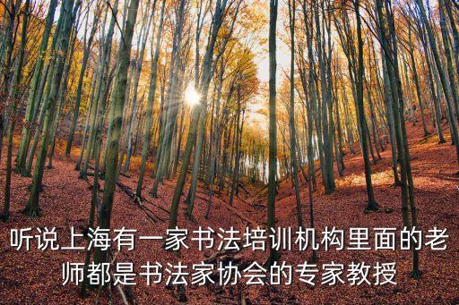 聽說上海有一家書法培訓機構里面的老師都是書法家協會的專家教授