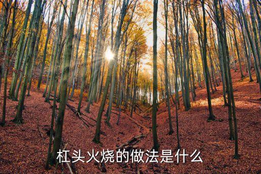 廣州燦頭火燒，廣州汕頭內衣廠發生火災造成14位女孩死亡還是1820正是青
