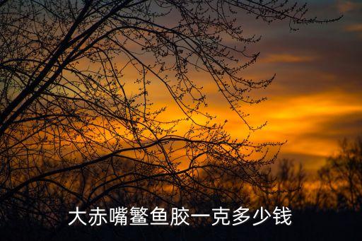大赤嘴鳘魚(yú)膠一克多少錢(qián)