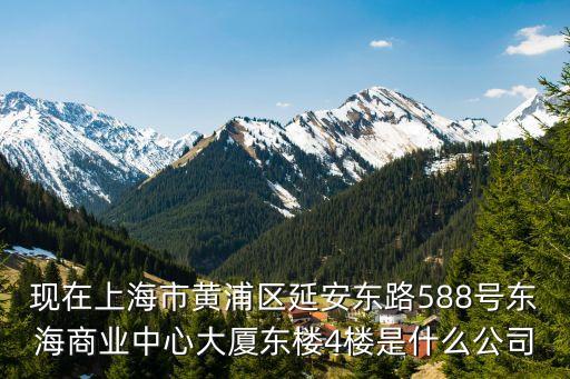 現在上海市黃浦區延安東路588號東海商業中心大廈東樓4樓是什么公司