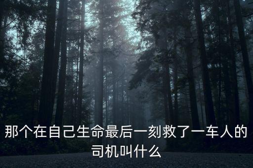 廣州救人司機(jī)救的人，用一條腿換來一條命最美女孩刁娜車流中勇救傷者