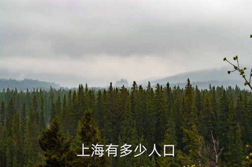 上海有多少人口
