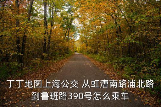 上海市小南門到魯班路390號，上海火車站坐什么車車可以到魯班路