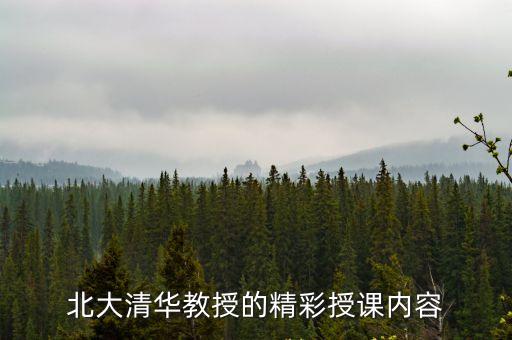 授課內容，北大清華教授的精彩授課內容