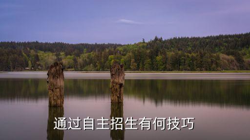 通過自主招生有何技巧